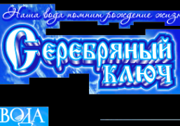 Логотип компании Серебряный ключ
