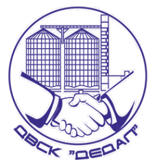 Логотип компании Дальневосточная Строительная Компания
